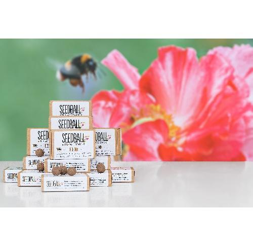 Promotional Eco Matchbox Of 6 Seed Balls